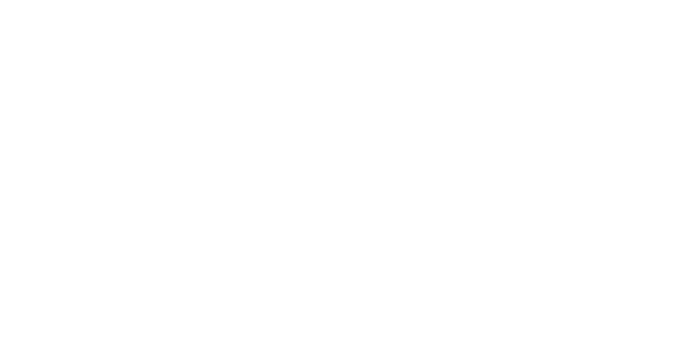 Servus Group